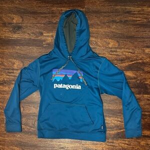 Patagonia Men's Dark Teal Fleece Hoodie size M